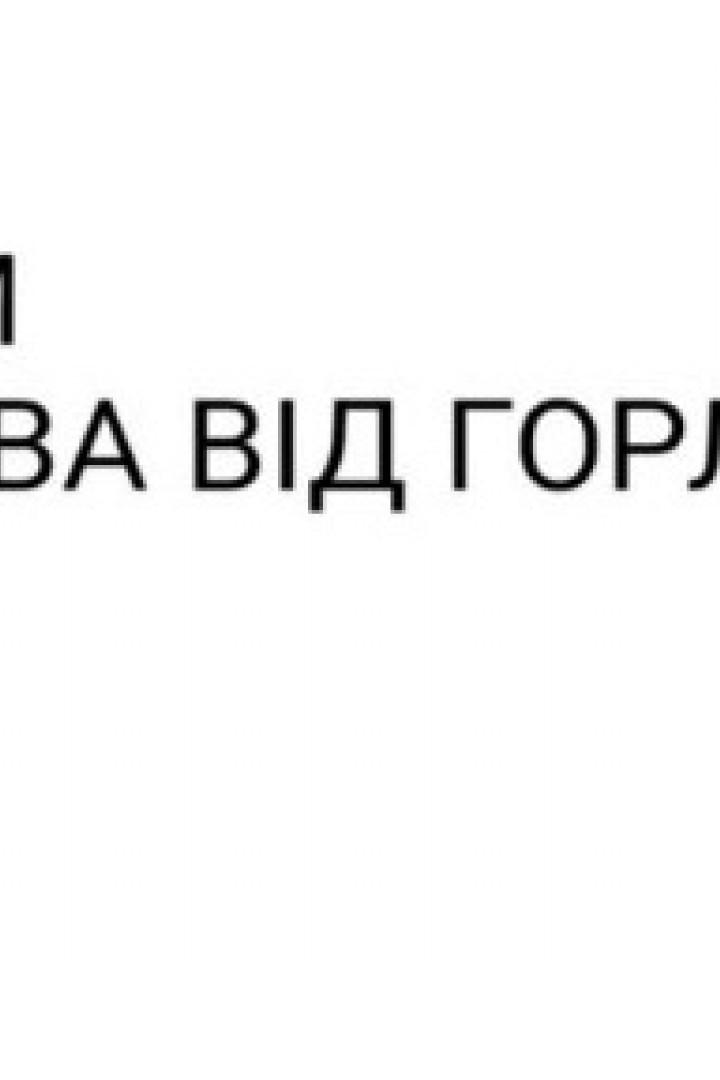Жіночий лонгслів з накатом SCA-541A799