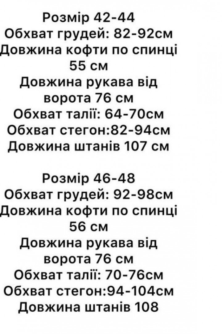Флісовий спортивний костюм STB-33A700