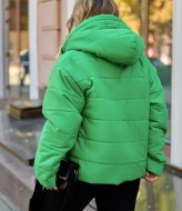 Синтепонова куртка EY-597A27