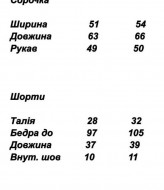 Костюм рубашка и шорты SAO-149A599