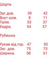 Костюм с шортами SAO-150A450