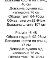 Велюровий спортивний костюм STB-15A600