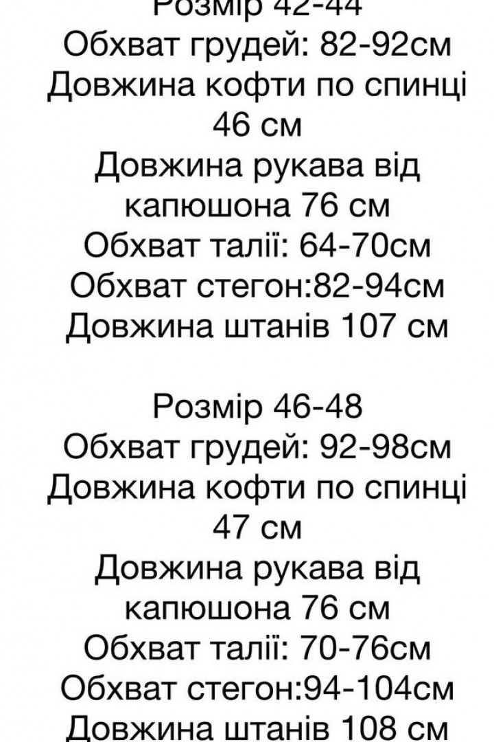 Велюровий спортивний костюм STB-15A600