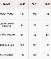 Мужской трикотажный костюм LYR-0200A570