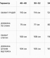 Прогулочный мужской костюм LYR-0290A650