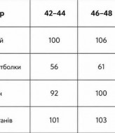 Стильный женский костюм двойка LYR-0291A550