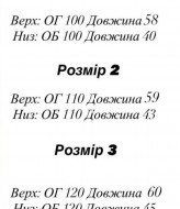 Костюм шорты и футболка EFR-210A420