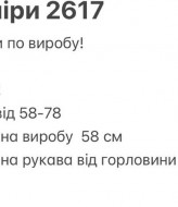 Базова акцентна сорочка TOR-2617A480