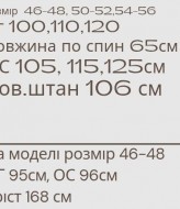 Велюровый костюм MYD-629A600