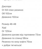 Спортивный велюровый костюм SNV-10130A680