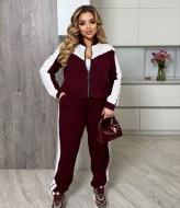 Женский демисезонный спортивный костюм ELR-4027A950 Женский демисезонный спортивный костюм ELR-4027A950