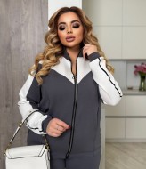 Женский демисезонный спортивный костюм ELR-4027A950