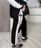 Женский демисезонный спортивный костюм ELR-4027A950