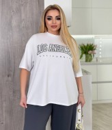 Костюм женский двойка  AB-1796A17