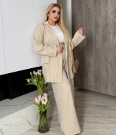 Брючный костюм большого размера  AB-1795A23