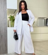 Брючный костюм большого размера  AB-1795A23