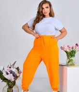 Штаны женские джоггеры NF-3649A430