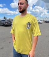 Стильная мужская футболка AP-300303A350