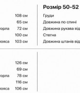 Чоловічий спортивний костюм LYR-0263A700