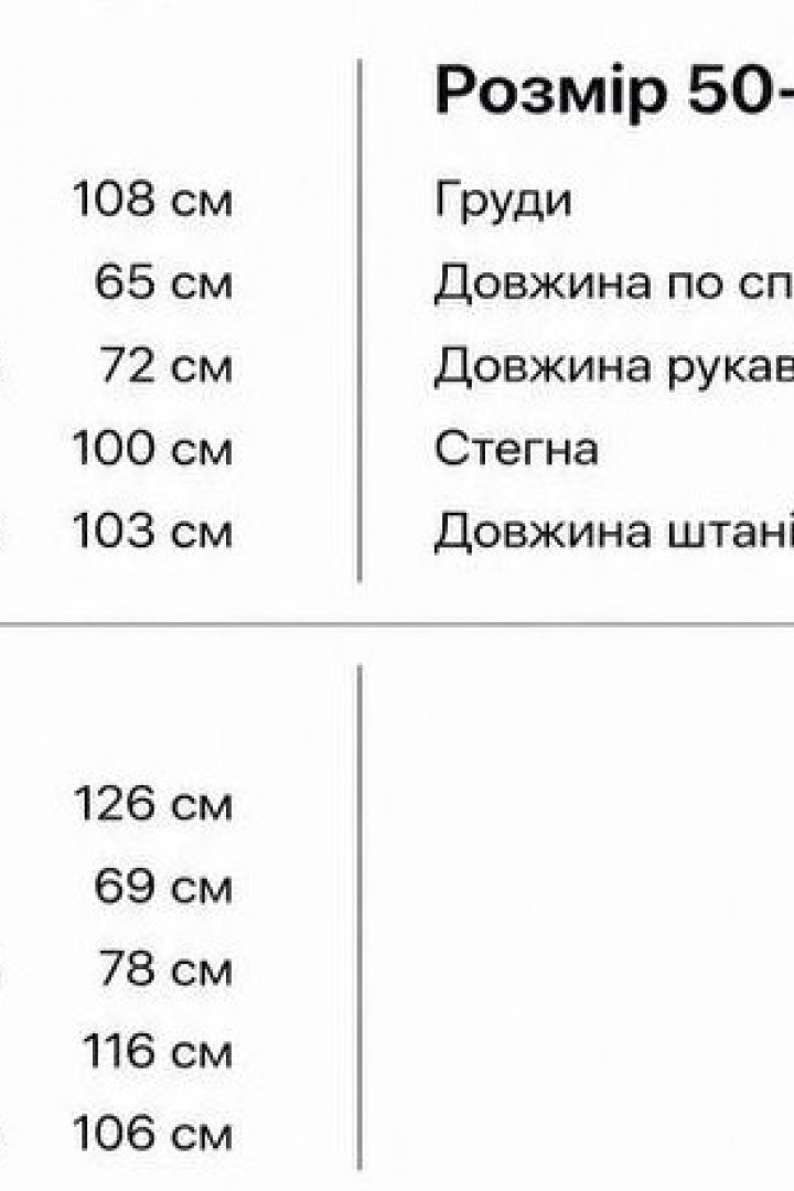 Чоловічий спортивний костюм LYR-0263A700