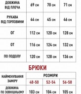 Стильный брючный костюм VOJ-1092A750