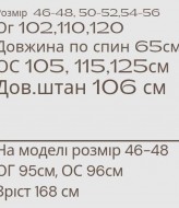 Спортивный костюм MYD-628A550