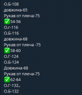 Базовый лонгслив DOL-433A350