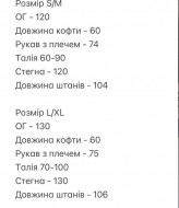 Спортивный костюм на флисе SOLO-251A1450
