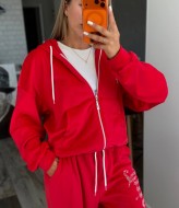 Велюровый спортивный костюм RAB-748A859