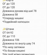 Велюровый спортивный костюм RAB-748A859