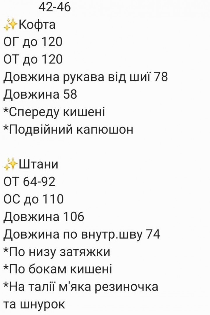 Велюровый спортивный костюм RAB-748A859