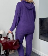 Теплый костюм двойка AD-7877.1A320