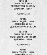 Кофта-флиска на змейке и штаны DAD-213A630