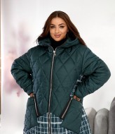 Куртка зимняя NU-1461A38