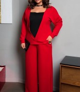 Брючный трикотажный костюм двойка AD-7909.1A240