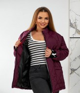 Стеганная куртка NU-1426A26