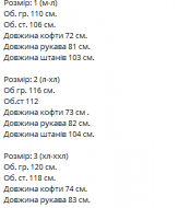 Повседневный спортивный костюм мужской  VM-10479A600