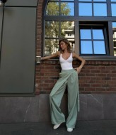 Ідеальні брюки ASP-325A549