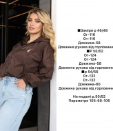 Вітровка з капюшоном AS-581A520