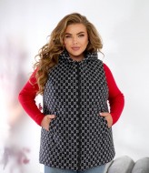 Жилетка з капюшоном NOB-25052A800