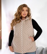 Жилетка з капюшоном NOB-25052A800