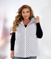 Жилетка з капюшоном NOB-25052A800