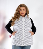 Жилетка з капюшоном NOB-25052A800