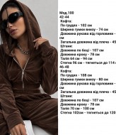 Велюровый костюм SP-100A610