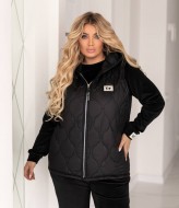 Костюм с жилеткой женский теплый  LZ-M1208A1250