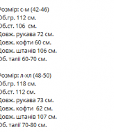 Теплый спортивный костюм женский на флисе VM-10523A550