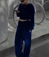 Велюровый костюм спортивный  DMP-R1523A550