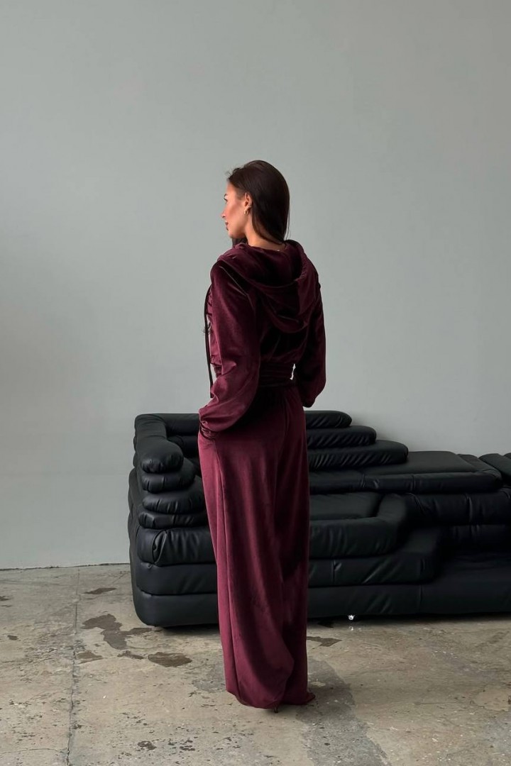 Велюровий спортивний костюм DMP-A7165A500