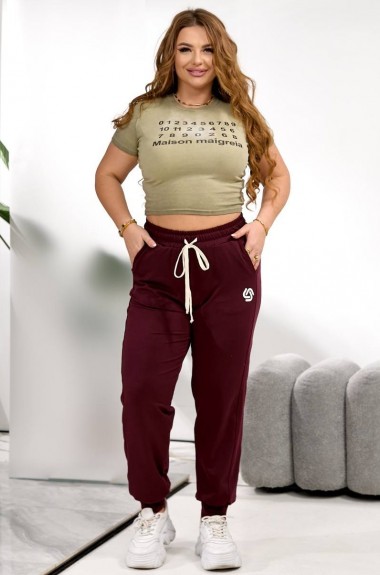 Жіночі спортивні штани VLT-955A380