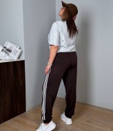 Женские спортивные штаны VLT-1657A450